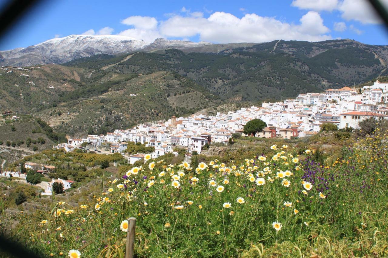 Appartement Casadubislav à Canillas de Albaida Extérieur photo